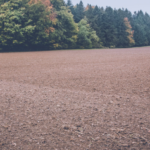 Umfassender Service für Immobilien auf dem Land