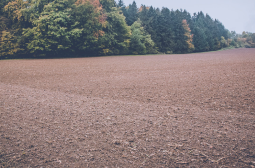 Umfassender Service für Immobilien auf dem Land