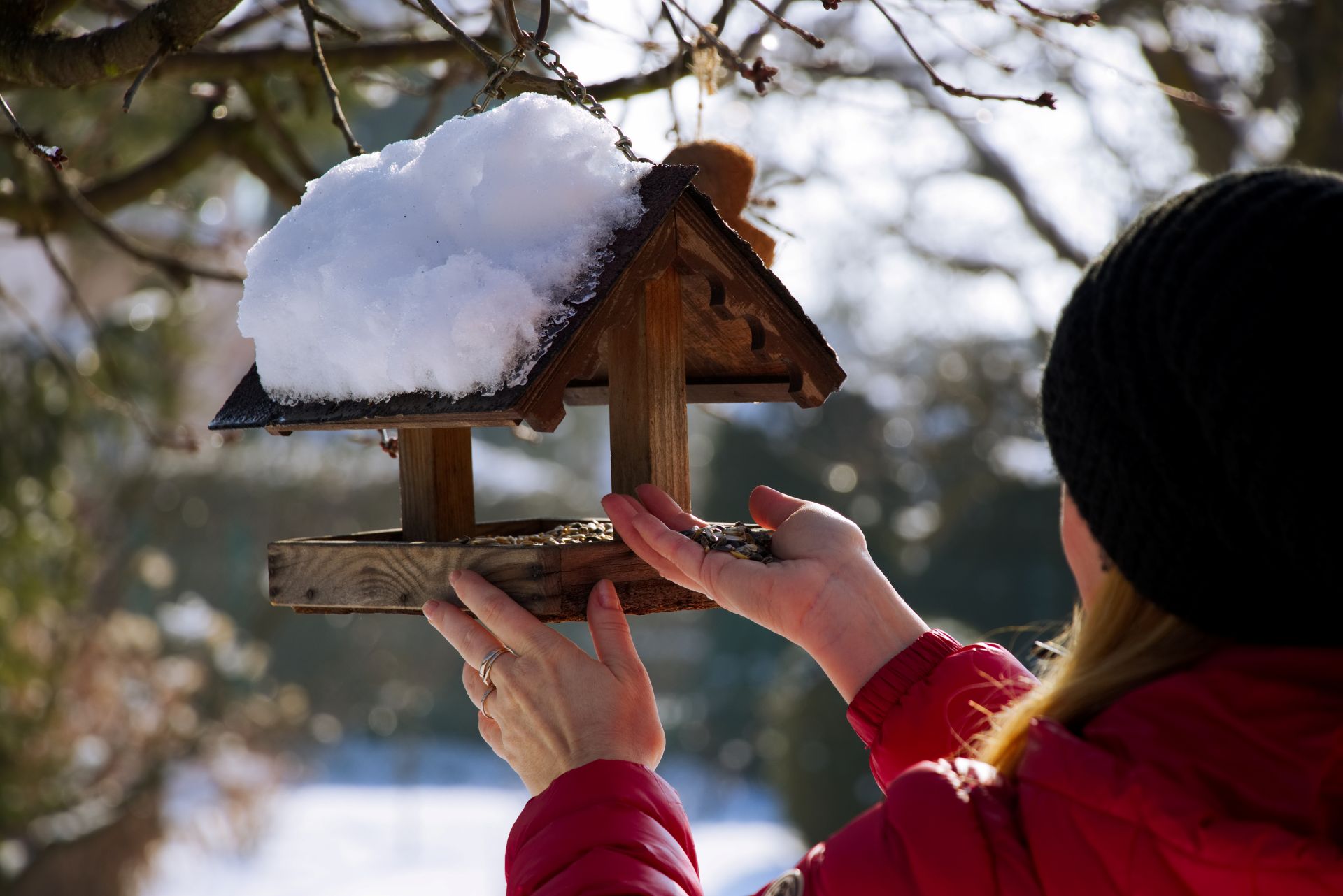 Person haengt im Winter ein verschneites Futterhaus fuer Voegel im Garten auf und fuettert nachhaltig